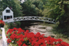 A quaint bridge in Maine